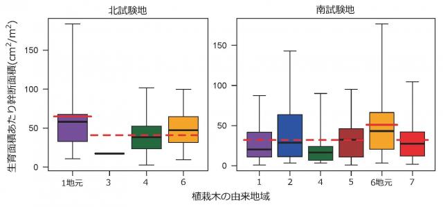 photo03:南北試験地において生産面積あたり幹断面積と植栽木由来地域との関係
