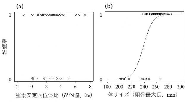 図4 妊娠率と窒素安定同位体比の関係を示すグラフ(a)と妊娠率と体のサイズの関係を示すグラフ(b)