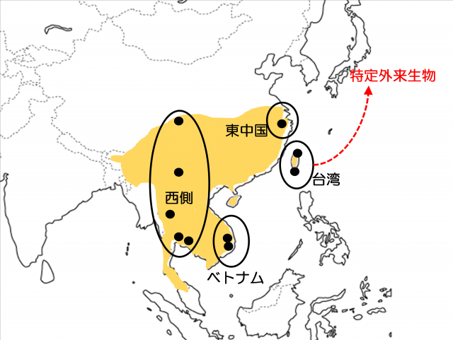 クリハラリスの分布域と東中国、西側、ベトナム、台湾4つの調査地を示した図