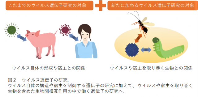 生物間相互作用の中で働く遺伝子の研究