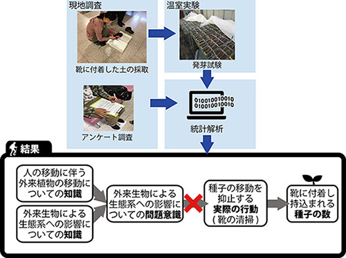 図1:現地で靴に付着した土を採取後に温室実験で発芽試験と、アンケート調査から統計解析結果までの全体を示す図