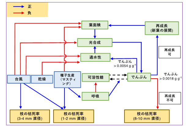 図2.樹木を衰退へと導いていく生理過程の模式図