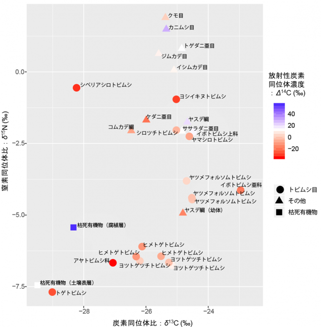 トビムシが、枯死有機物よりも新しい炭素からできた餌を利用していることを示したグラフ