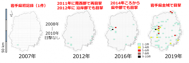 図2.2007年移入期から2018年以降定着期までの岩手県におけるイノシシ出没の変遷を示す図