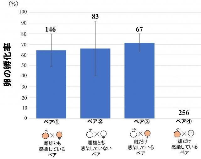 ボルバキアはビロウドカミキリに不妊化をひき起こすことを卵の孵化率を示したグラフ
