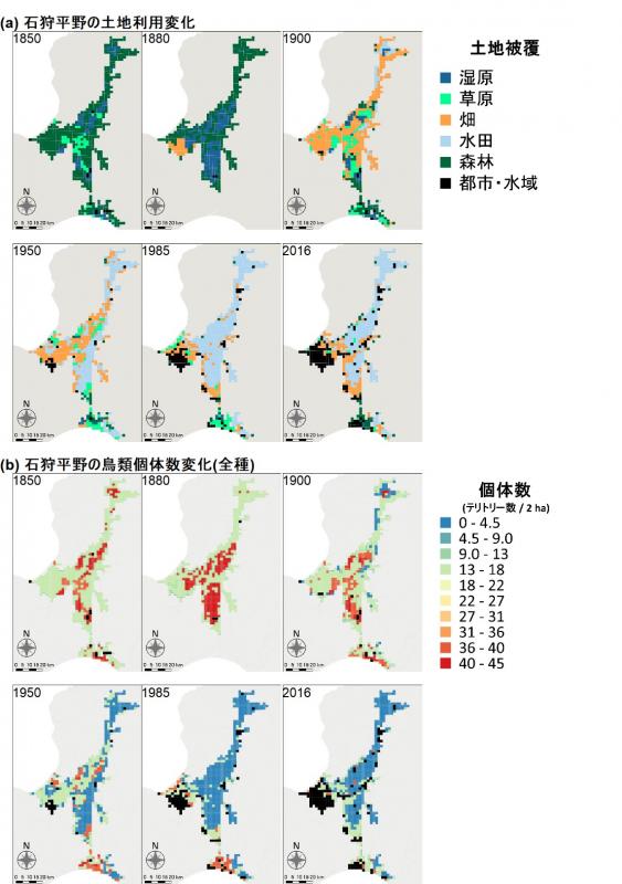 土地被覆の変化と鳥類個体数の変化を示す図