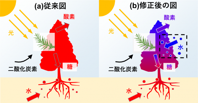 左（a）従来図、右（b）修正後の図