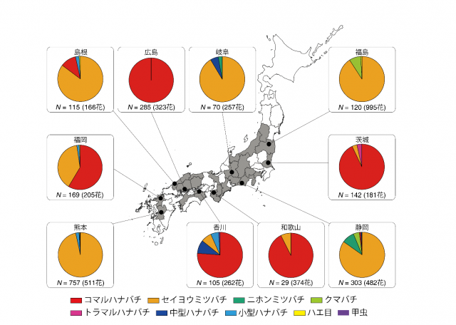 生産量上位10県のカキ園において訪花昆虫の種類や訪花回数を調査した結果を示す図