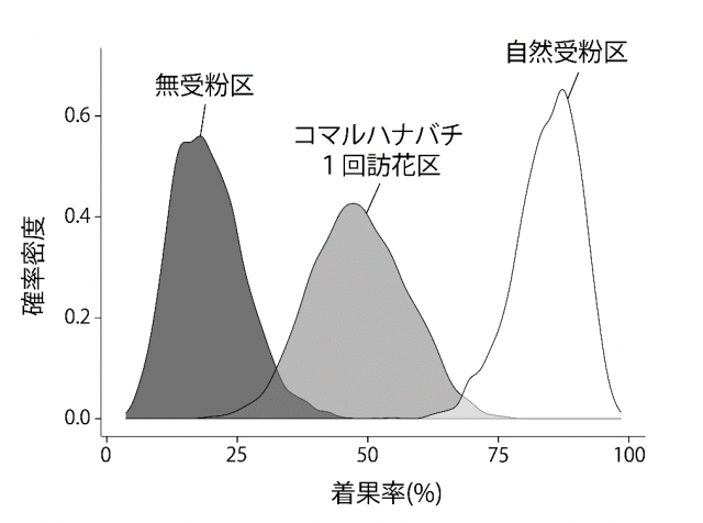 「富有」における着果率と確率密度を示すグラフ