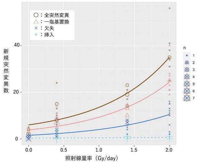 図1.照射線線量率と新規突然変異数を示したグラフ