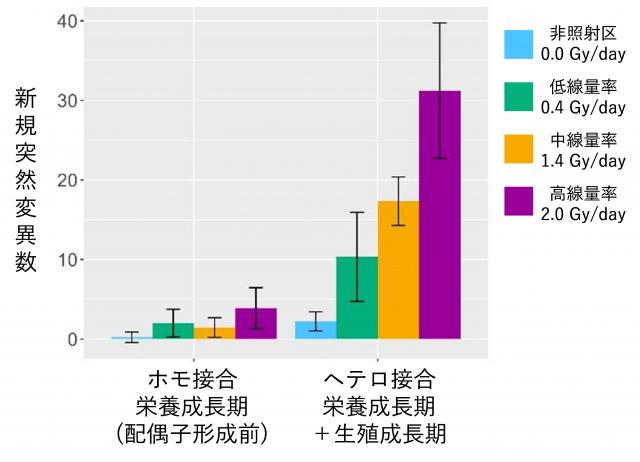 図2.検出された突然変異部位におけるホモ接合とヘテロ接合の数を示したグラフ