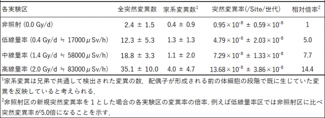 各実験区（非照射、低線量率、中線量率、高線量率）における突然変異数と突然変異率を示した表