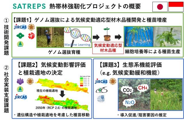SATREPS 熱帯林強靱化プロジェクトの概要