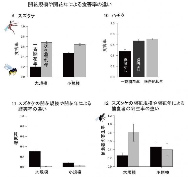 開花規模や開花年による食害率の違いを示したグラフ