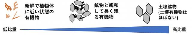 図2.比重の違いを示したグラフ