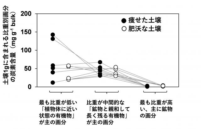 図3.痩せた土壌と、肥沃な土壌の間で、鉱物と親和して長く残る有機物の量を示したグラフ