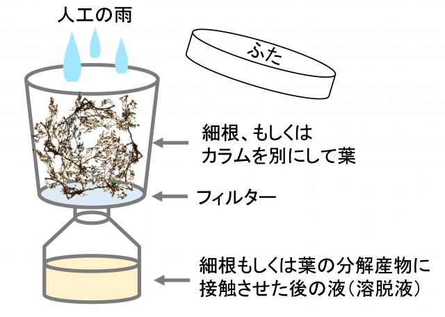 図2.加温により分解を促進しながら定期的に人工的な雨を降らせて実行う行う様子