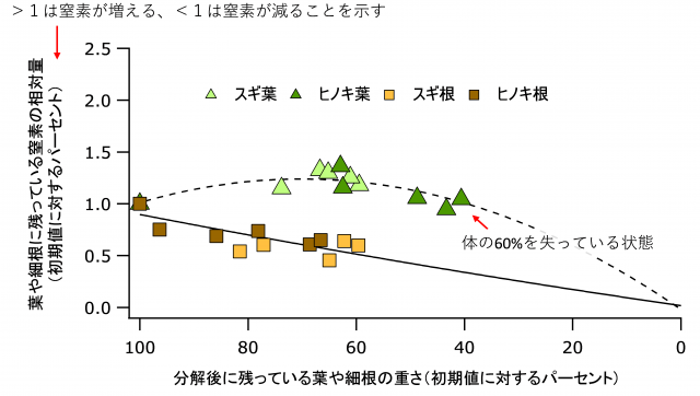 図3 分解後に残っている葉や細根の重さと、葉や細根に残っている窒素の相対量を示した」グラフ