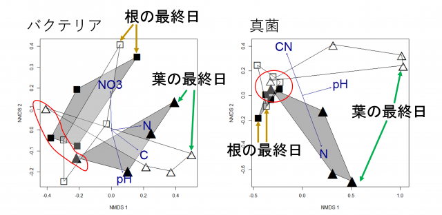 図5 落ち葉はゆりかご・落ち根は肥料として機能、落ち葉と落ち根を好む微生物は同じではないことを示すグラフ
