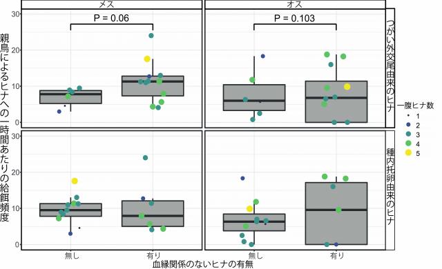 図1.血縁関係のないヒナの有無と親鳥によるヒナへの一時間あたりの給餌頻度を示したグラフ