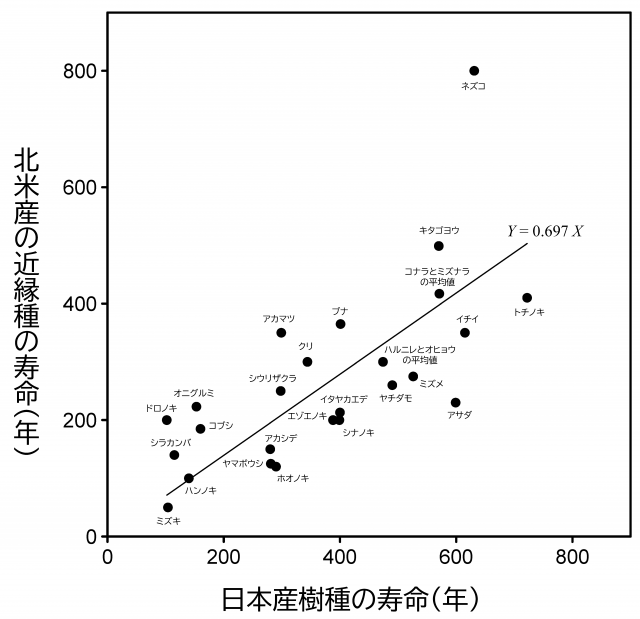 日本の樹種とそれと近縁な北米の樹種の寿命を比べたグラフ