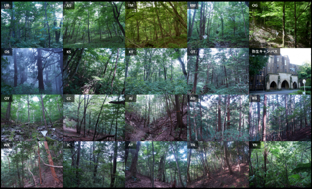 図2 弥生キャンパスと調査地19地点の写真