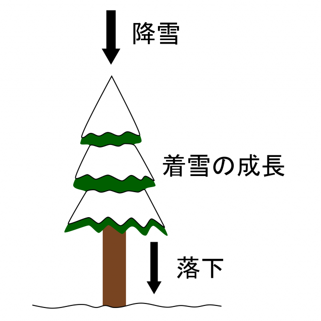 図2 着雪の成長や落下の物理過程をシミュレーション