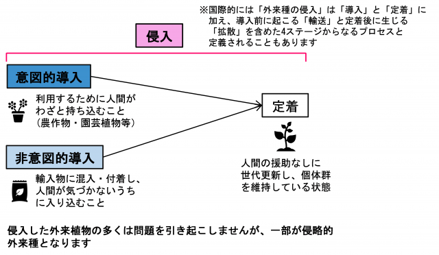 外来種の侵入を示した図