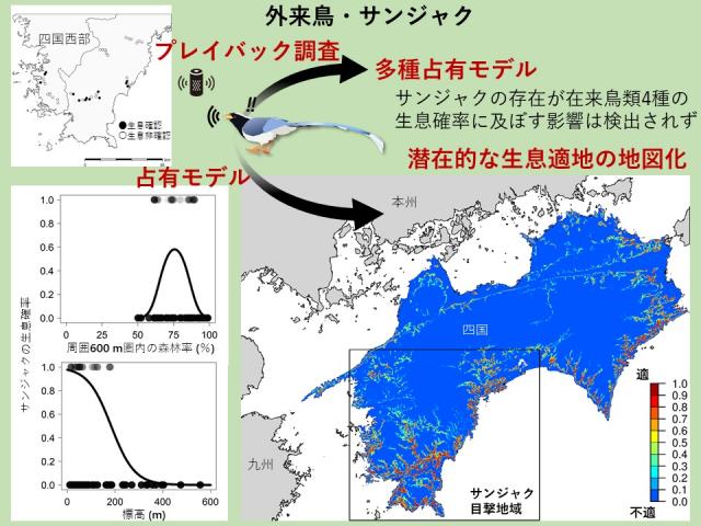 サンジャクの分布とその決定要因、在来種への影響を示すグラフと図