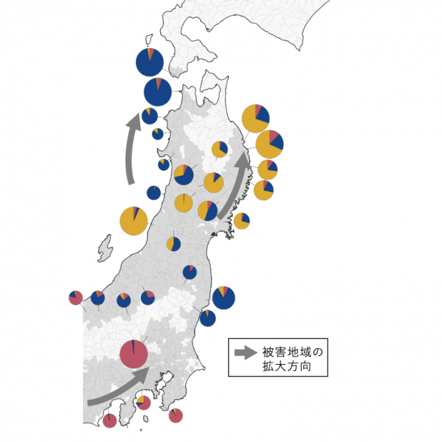東日本のカシノナガキクイムシは塩基配列のデータから3つの遺伝的に異なるグループに分けられていることを示す図