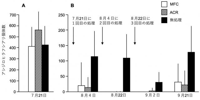 左A：処理前のアシジロヒラフシアリ個体数。右B：処理後のアシジロヒラフシアリ個体数を示したグラフ。