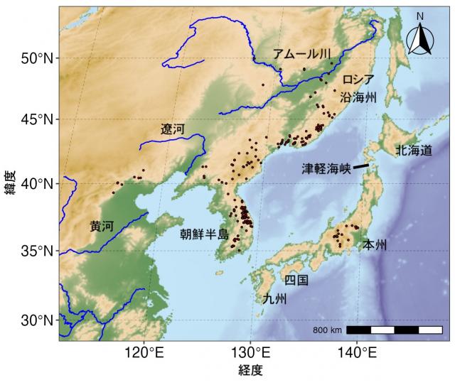 現在のチョウセンミネバリ分布地点を示した地図