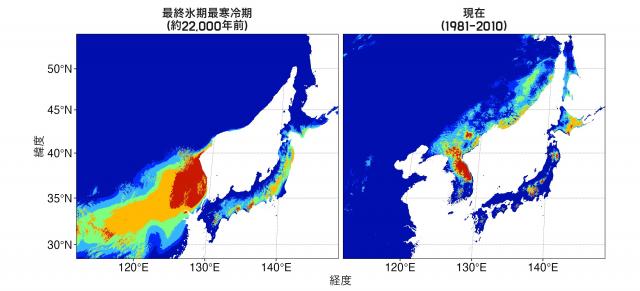 左：最終氷期最寒冷期(約22000年前)と右：現在(1981年～2010年)のチョウセンミネバリ推定分布を表した図