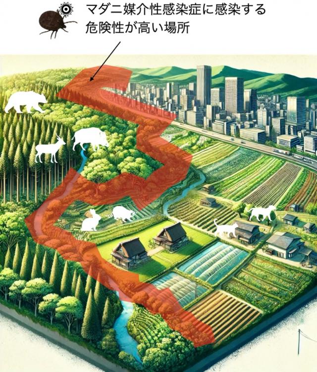 マダニ媒介性感染症に関する危険性が高い場所を示した図