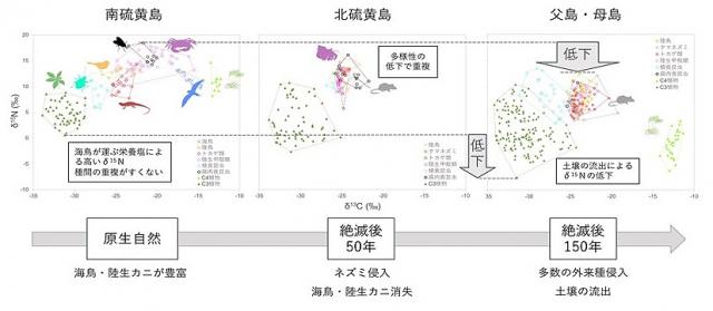 採集したそれぞれのサンプルの生物に含まれる窒素安定同位体比を分析した結果を示す図
