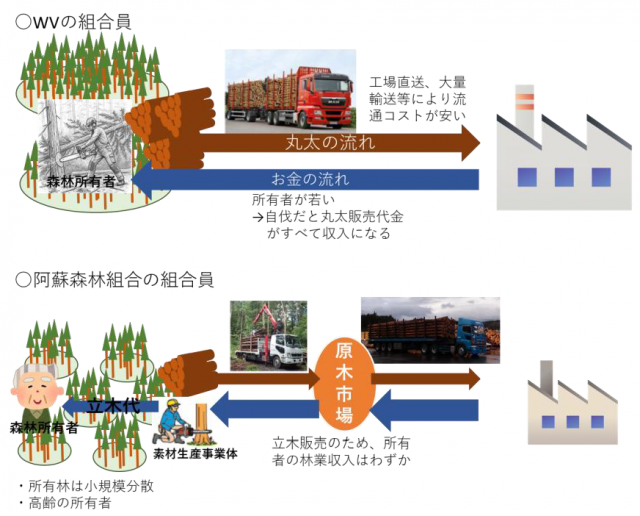 オーストリアにおいて個人の森林所有者が活発に林業を行っている要因を明らかにした