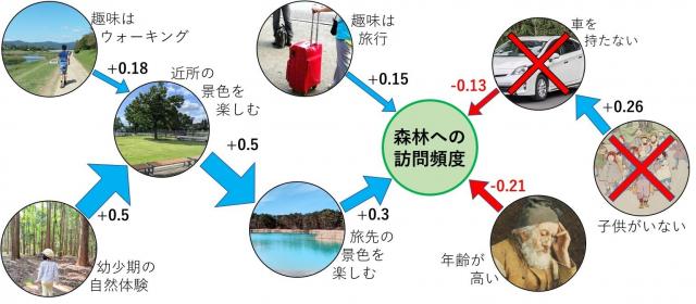 東京23区の住民で過去1年間に森林を訪れたのは3人に1人～森林空間利用を促すには何が必要なのか？～
