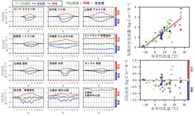 アジア各地のさまざまな生態系における光合成、呼吸量、その差分である吸収量を示す二酸化炭素収支の季節的なサイクルなどを示すグラフ