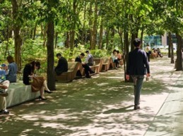 都市緑地を利用するワーカーや来街者の写真02