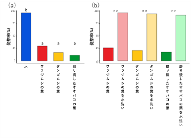 ダンゴムシの糞の存在がオオバコの発芽に影響するかどうかを調べた結果を示すグラフ