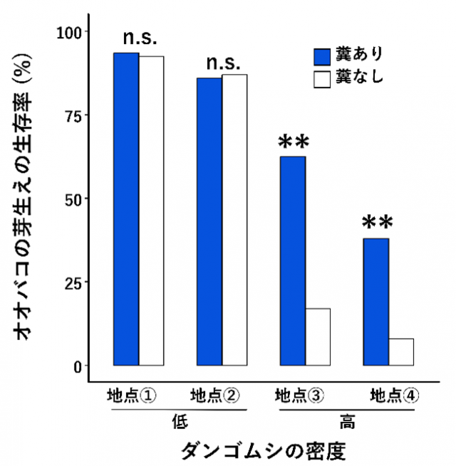 ダンゴムシの密度とオオバコの芽生えの生存率を示したグラフ
