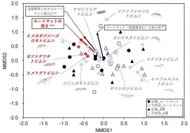 数種類のトビムシを分類して座標で表した図
