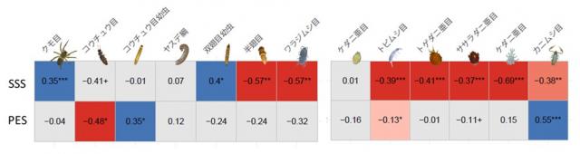 落葉の住処としての性質と、食物としての性質を様々な土壌動物に及ぼす影響を表したヒートマップ図