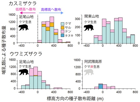 哺乳類による種子散布量と標高方向の種子散布距離の関係を示すグラフ