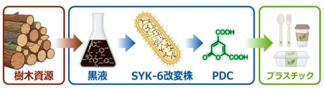 製紙廃液からプラスチック原料を生産するまでの概要図