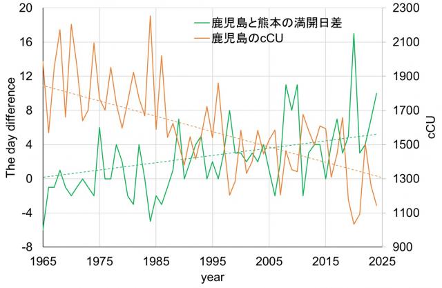 ‘染井吉野’の満開日の記録:低温刺激の指標となる積算チルユニット値との関係を分析した値を示すグラフ