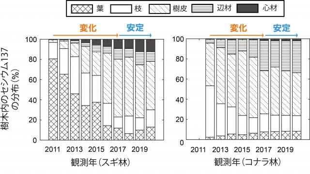 左:スギ林、右:コナラ林それぞれの葉、枝、樹皮、辺材および心材に含まれる樹木寧のセシウム137の分布率を示すグラフ。