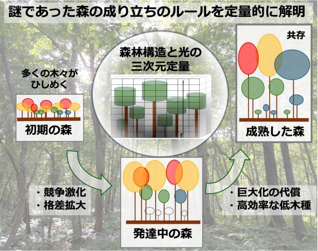 本プレスリリースの概要図