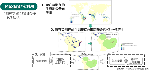 図1上:現在の潜在的生息地の分布予測。下:現在の潜在的生息地に分散距離のバッファー発生を示した図。