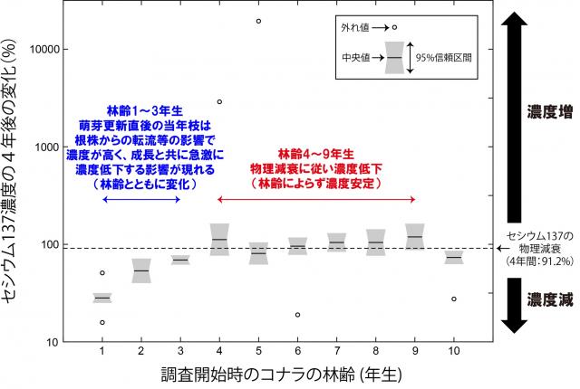 セシウム137濃度の4年後の変化(%)と調査開始時のコナラの林齢(年生)を示したグラフ